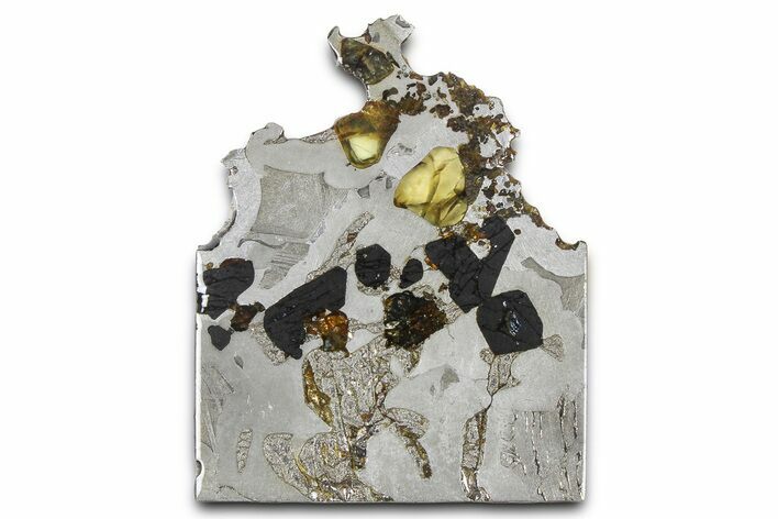 Seymchan Pallasite Meteorite Slice ( g) - Russia #382892